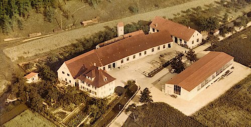 31399金沙娱场城(中国)有限公司官网